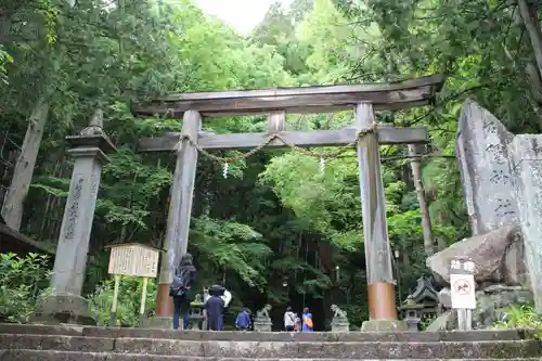 戸隠神社宝光社の鳥居