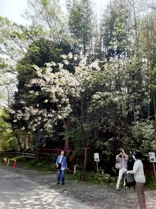 白笹稲荷神社(神奈川県)