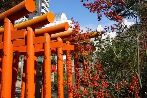 三輪神社の鳥居