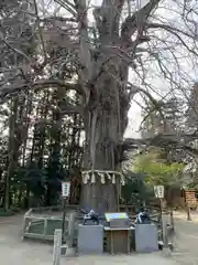 水戸八幡宮(茨城県)