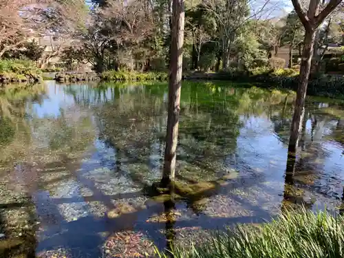 富士山本宮浅間大社の庭園