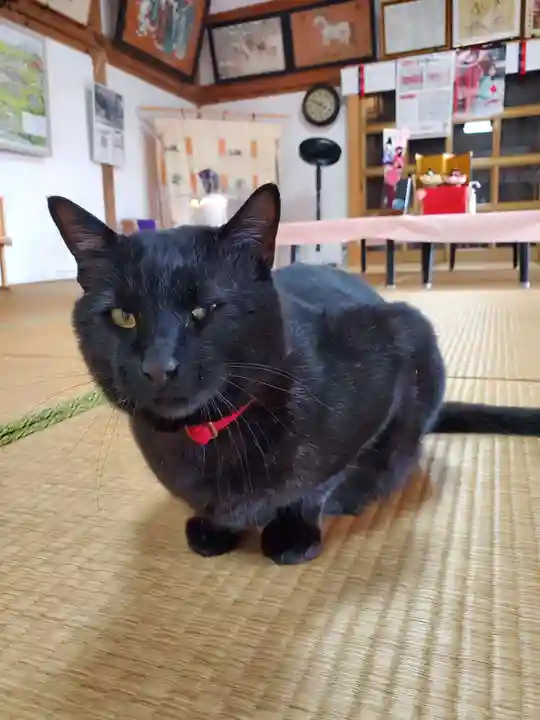 高司神社〜むすびの神の鎮まる社〜(福島県)