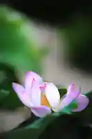 浄土寺(兵庫県)