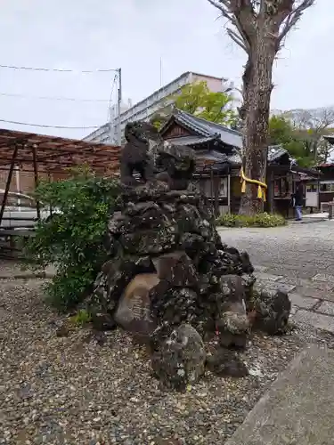菊田神社の狛犬