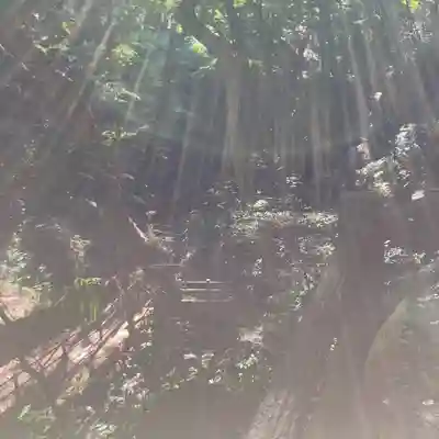 枚岡神社神津嶽本宮(大阪府)