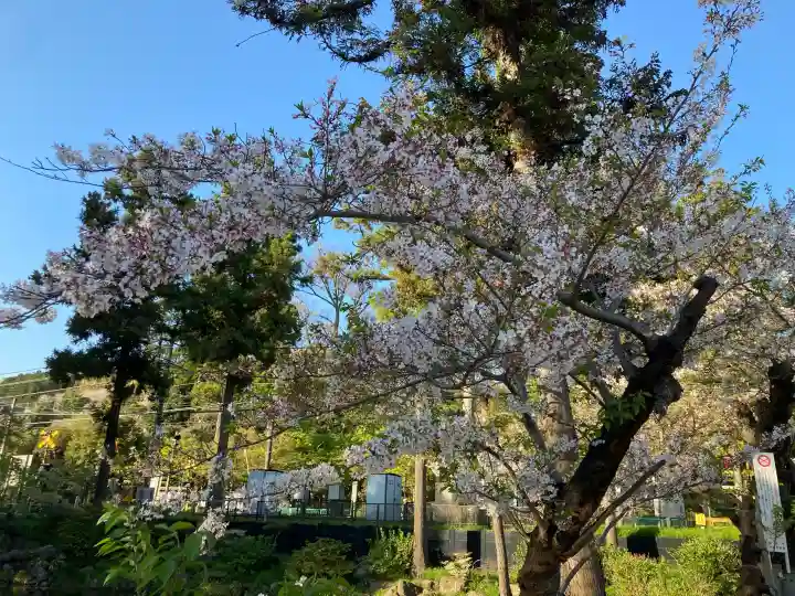 円覚寺の{uncategorized: "未分類", other: "その他", undefined: "問題あり", building: "その他建物", grave: "お墓", sacred_gate: "鳥居", guardian: "狛犬", statue: "像", buddha: "仏像", history: "歴史", nature: "自然", garden: "庭園", animal: "動物", pagoda: "塔", temizu: "手水舎", mountain_gate: "山門・神門", sanctuary: "本殿・本堂", subordinate: "末社・摂社", art: "芸術", scenery: "景色", jizo: "地蔵", ema: "絵馬", goshuin: "御朱印", omikuji: "おみくじ", items: "授与品その他", amulet: "お守り", goshuincho: "御朱印帳", eats: "食事", festival: "お祭り", votive_dance: "神楽", shichigosan: "七五三参", wedding: "結婚式", experience: "体験その他", initially: "初詣", around: "周辺", anti_infection: "感染症対策"}