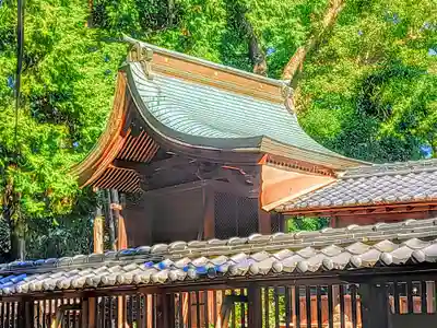 八所神社(八所社)の本殿・本堂