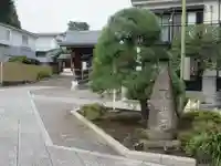 東北寺(東京都)