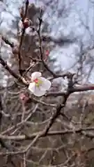 相馬神社(北海道)