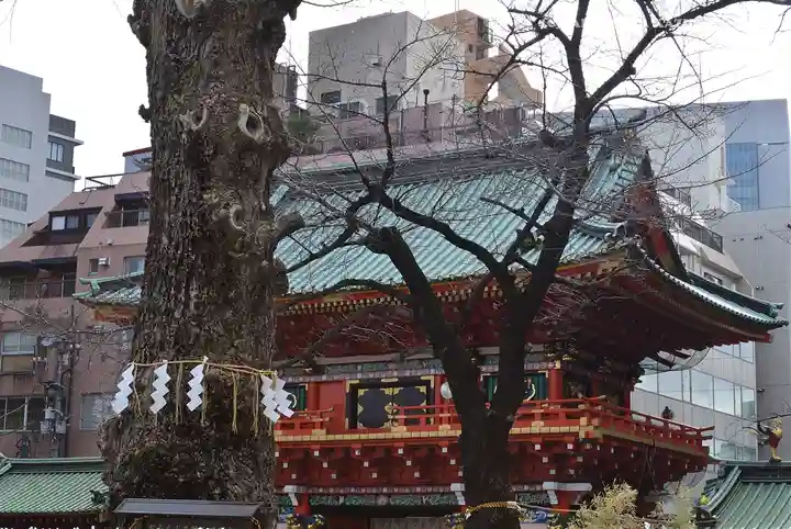神田神社(神田明神)の自然