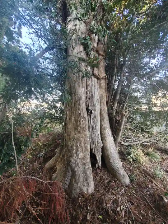 神明宮(県町)(栃木県)