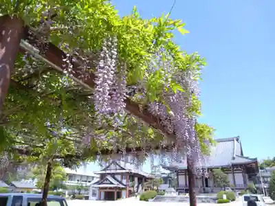 三河別院(愛知県)