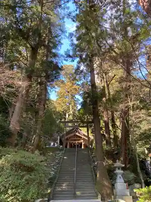 伊野天照皇大神宮(福岡県)