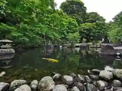 長谷寺の庭園