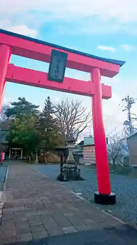 津島神社の鳥居