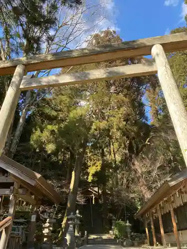 伊野天照皇大神宮の鳥居