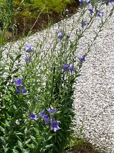 廬山寺（廬山天台講寺）(京都府)