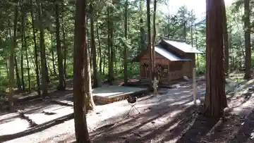 阿智神社前宮の本殿・本堂