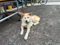 神光寺(徳島県)