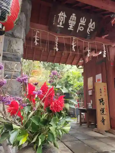 陽運寺の山門・神門