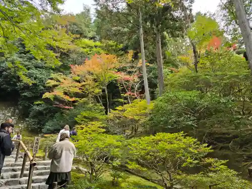 慈照寺（慈照禅寺・銀閣寺）(京都府)