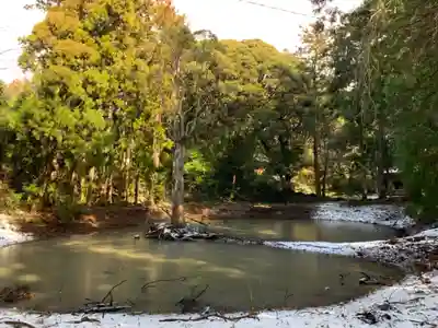 丸郷神社(千葉県)