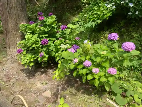 円覚寺(神奈川県)