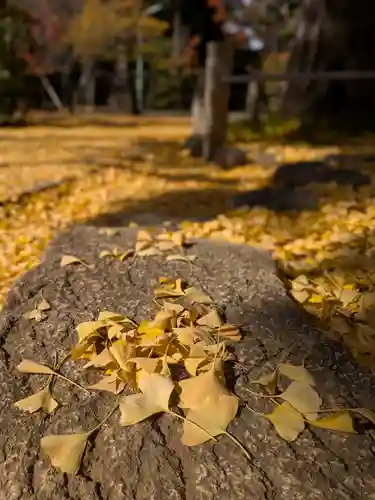 赤坂氷川神社(東京都)