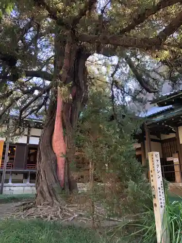 円覚寺(神奈川県)