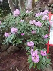 大山阿夫利神社(神奈川県)