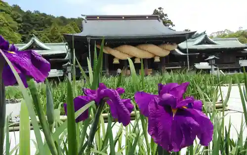 宮地嶽神社の庭園