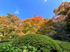 詩仙堂（丈山寺）(京都府)