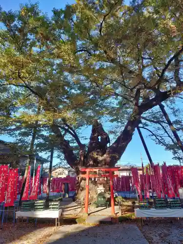 秩父今宮神社(埼玉県)