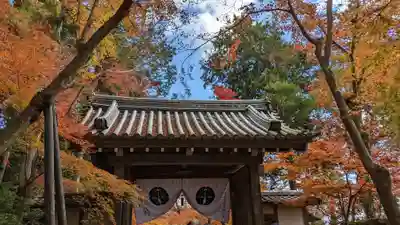 光明寺（粟生光明寺）(京都府)
