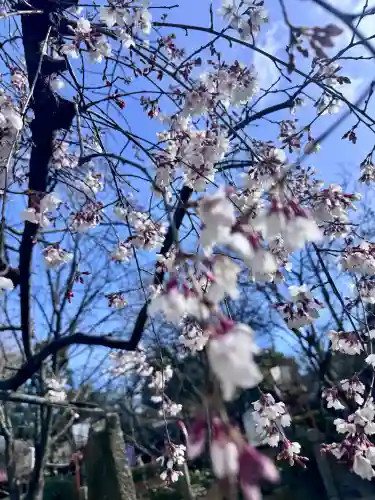 長建寺の{uncategorized: "未分類", other: "その他", undefined: "問題あり", building: "その他建物", grave: "お墓", sacred_gate: "鳥居", guardian: "狛犬", statue: "像", buddha: "仏像", history: "歴史", nature: "自然", garden: "庭園", animal: "動物", pagoda: "塔", temizu: "手水舎", mountain_gate: "山門・神門", sanctuary: "本殿・本堂", subordinate: "末社・摂社", art: "芸術", scenery: "景色", jizo: "地蔵", ema: "絵馬", goshuin: "御朱印", omikuji: "おみくじ", items: "授与品その他", amulet: "お守り", goshuincho: "御朱印帳", eats: "食事", festival: "お祭り", votive_dance: "神楽", shichigosan: "七五三参", wedding: "結婚式", experience: "体験その他", initially: "初詣", around: "周辺", anti_infection: "感染症対策"}