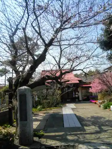 向福寺の景色