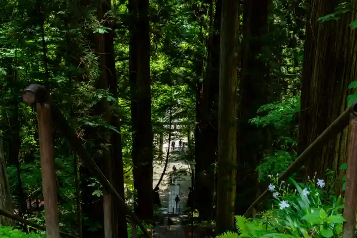 戸隠神社宝光社(長野県)