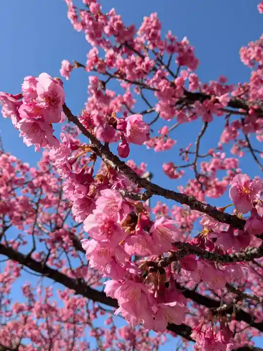 富岡八幡宮(東京都)
