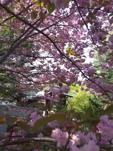 厚別神社の自然