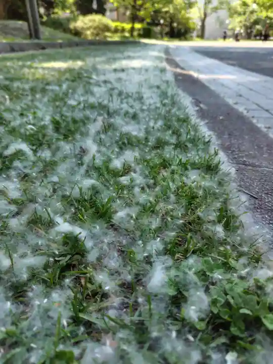 札幌護國神社の庭園