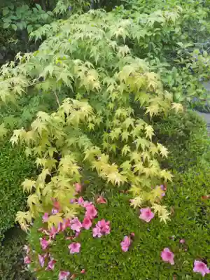 酬恩庵一休寺(京都府)