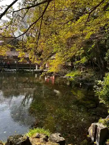 富士山本宮浅間大社の{uncategorized: "未分類", other: "その他", undefined: "問題あり", building: "その他建物", grave: "お墓", sacred_gate: "鳥居", guardian: "狛犬", statue: "像", buddha: "仏像", history: "歴史", nature: "自然", garden: "庭園", animal: "動物", pagoda: "塔", temizu: "手水舎", mountain_gate: "山門・神門", sanctuary: "本殿・本堂", subordinate: "末社・摂社", art: "芸術", scenery: "景色", jizo: "地蔵", ema: "絵馬", goshuin: "御朱印", omikuji: "おみくじ", items: "授与品その他", amulet: "お守り", goshuincho: "御朱印帳", eats: "食事", festival: "お祭り", votive_dance: "神楽", shichigosan: "七五三参", wedding: "結婚式", experience: "体験その他", initially: "初詣", around: "周辺", anti_infection: "感染症対策"}