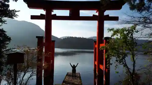 箱根神社の鳥居