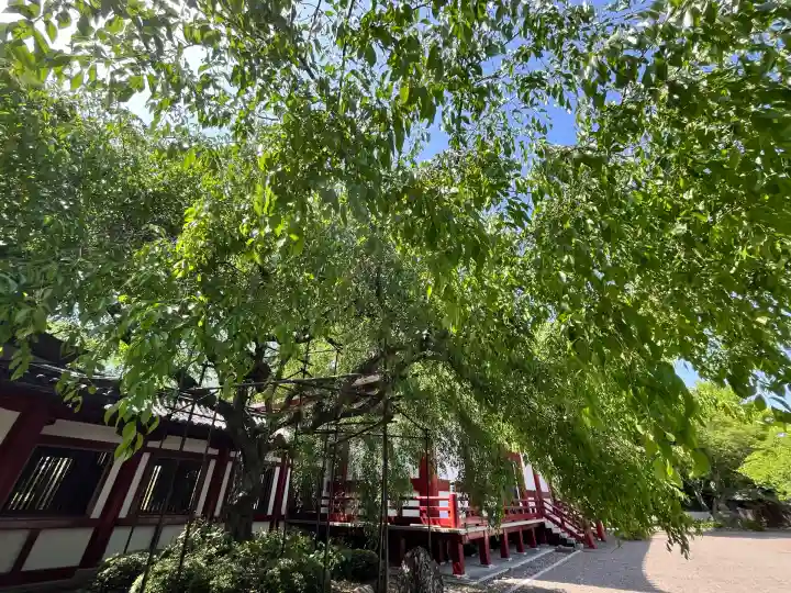 道成寺(和歌山県)