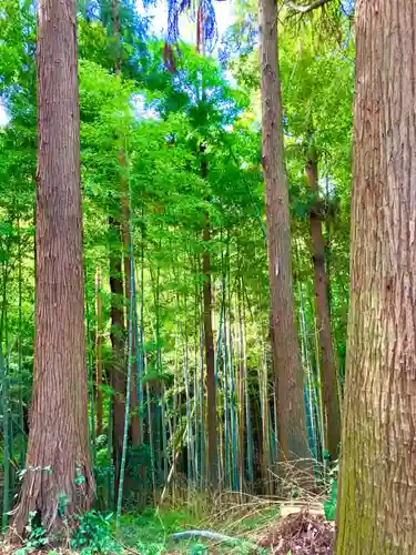 城中八幡神社(茨城県)