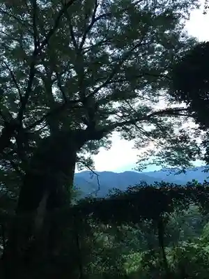 阿上三所神社(京都府)