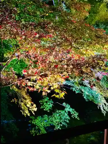 光明寺瑠璃光院(京都府)