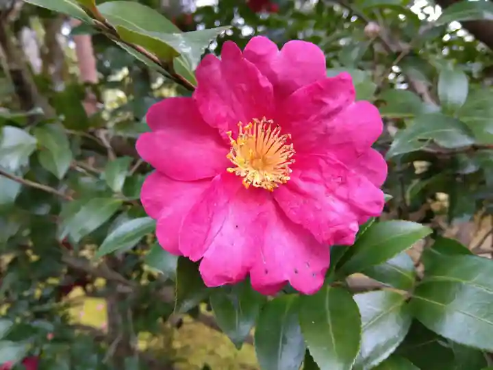 天龍寺(京都府)