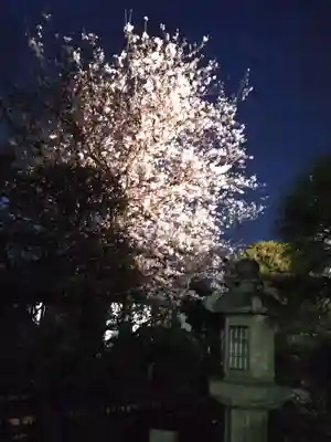 龍華寺(神奈川県)