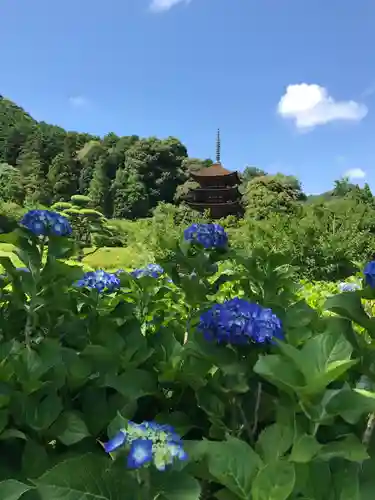 瑠璃光寺の庭園